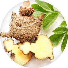 GLUCOMANNAN