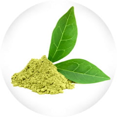 GREEN TEA EXTRACT