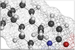 D-Aspartic Acid