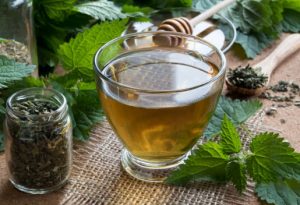 Nettle Leaf