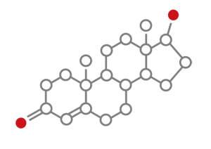testosterone-diagram