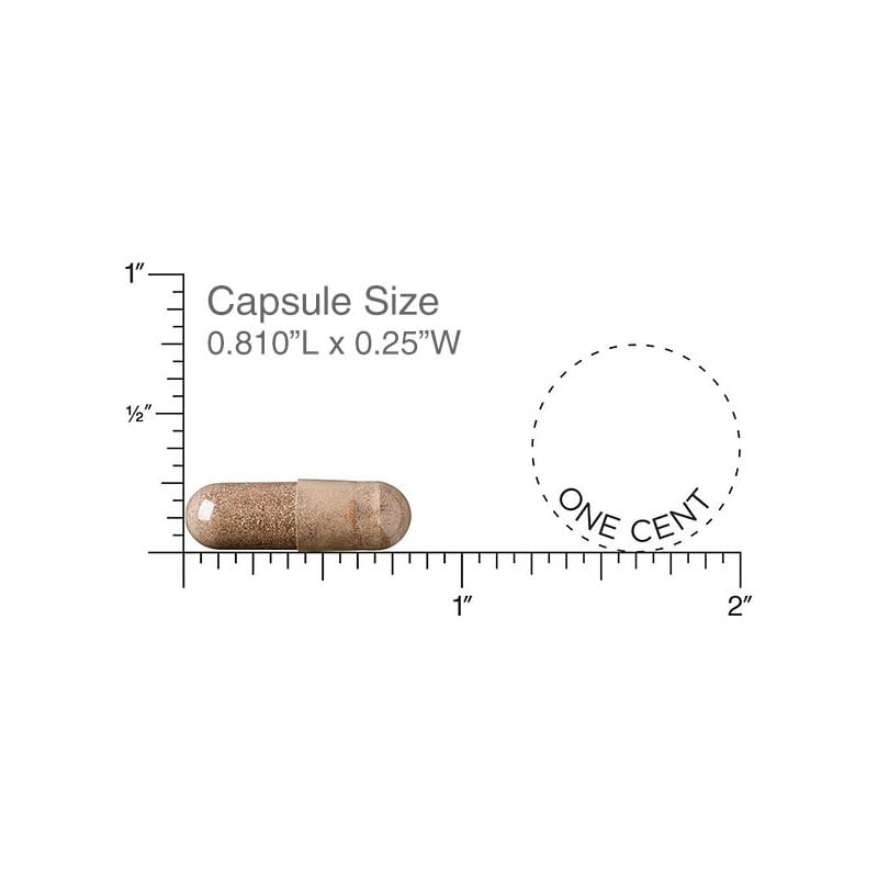AlphaViril Capsule Size
