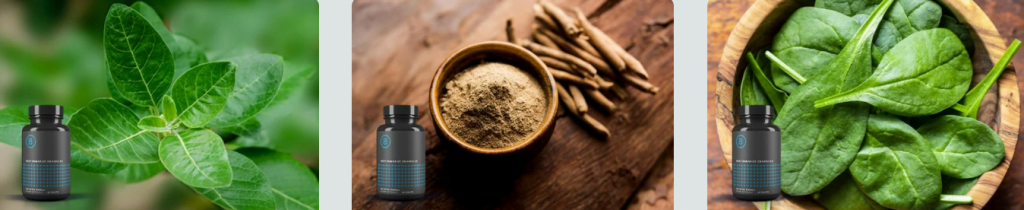 Performer 8 Natural Ingredients