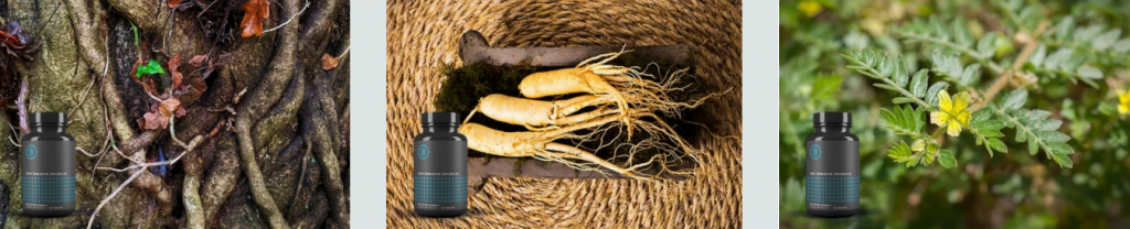 Performer 8 Ingredients for Male Health