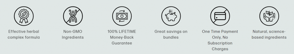 How Performer 8 works
