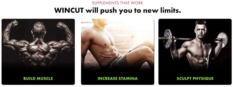 WinCut will push you to new limits