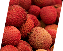 CortiSync Ingredient Litchi
