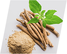 CortiSync Ingredient Sensoril