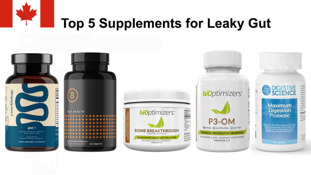 Top 5 Supplements for Leaky Gut in Canada